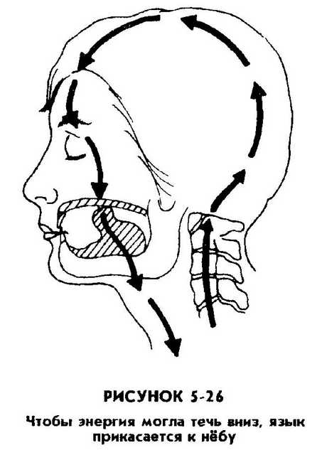 Сила дыхания: даосские техники для энергии, здоровья и ясности ума